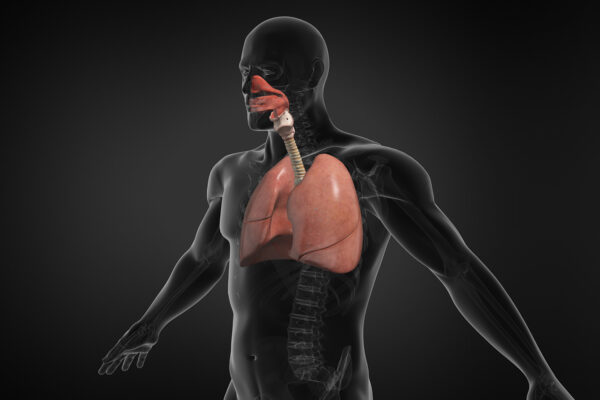Importance Of Videos For Patient Education