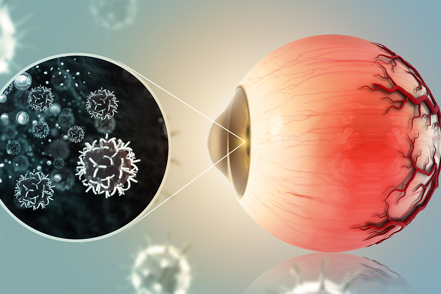 Ophthalmology