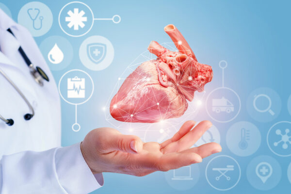 Importance Of Cardiology Videos