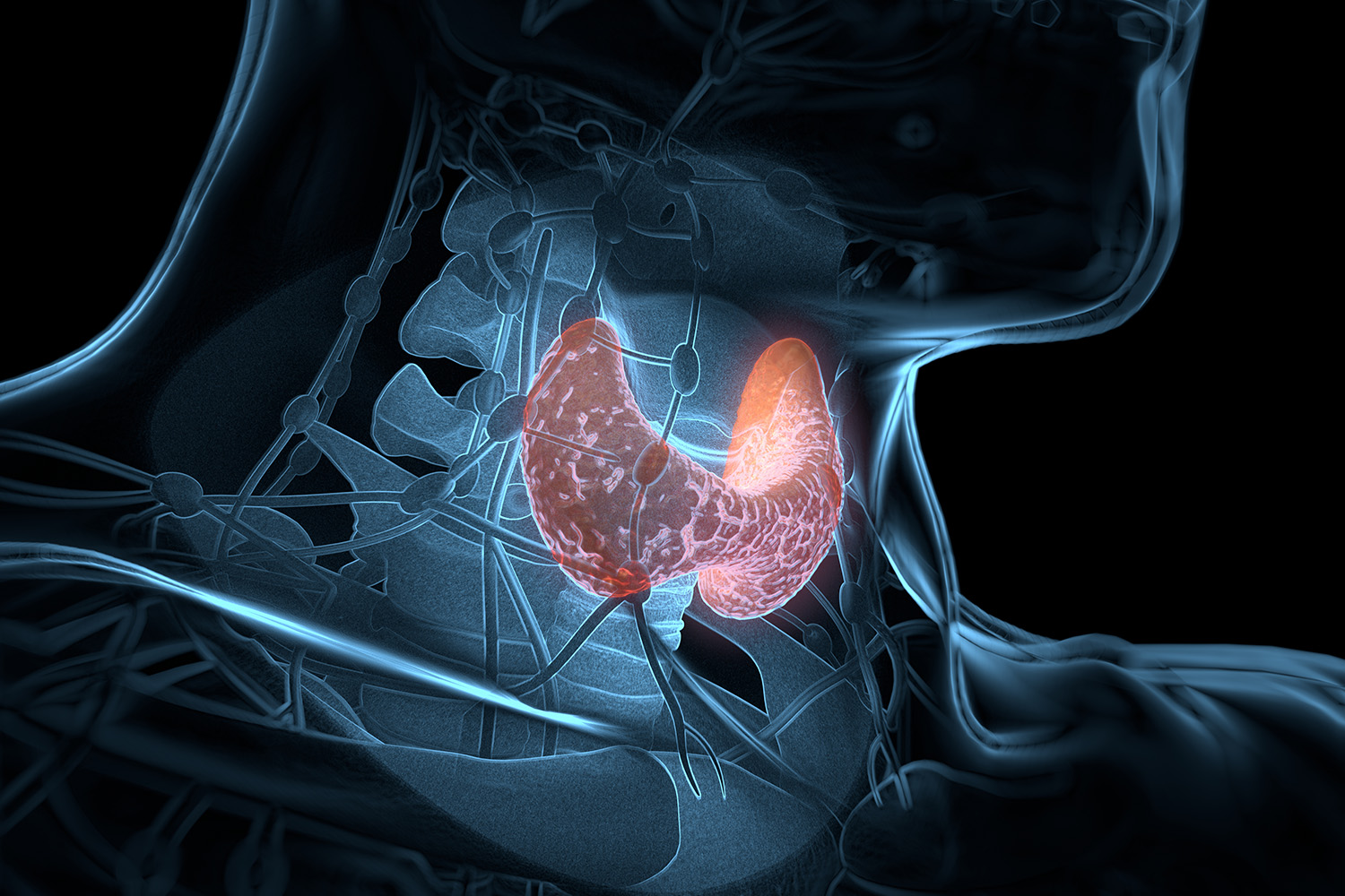 Endocrinology