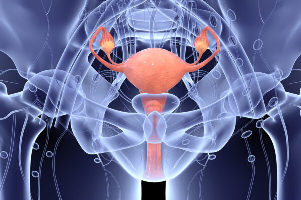 Enhancing Reproductive Health Education