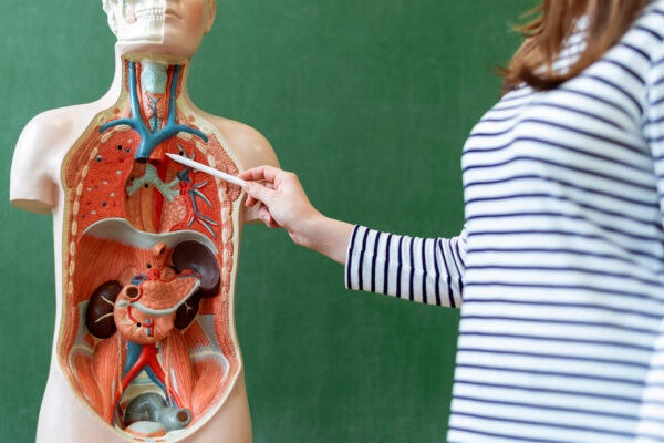 Health Education In Schools Needs To Be Scaled Up