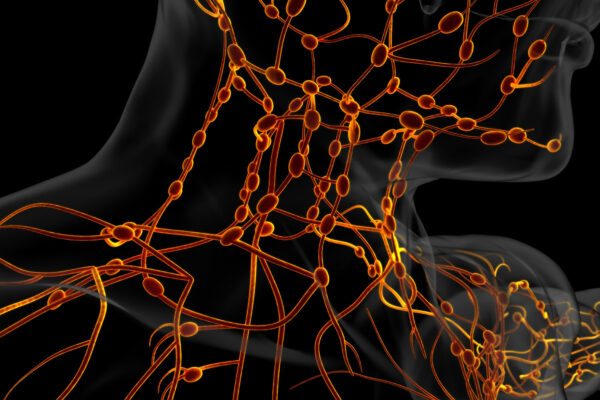 Cervical Lymph Nodes