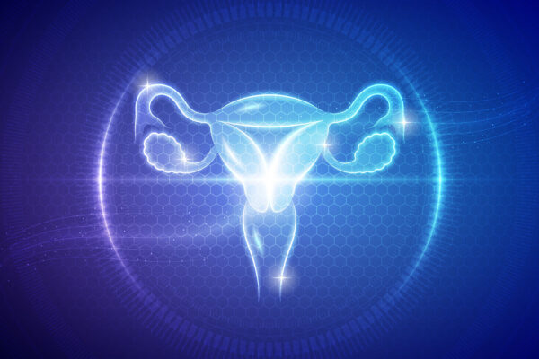 What Is A Hysterectomy