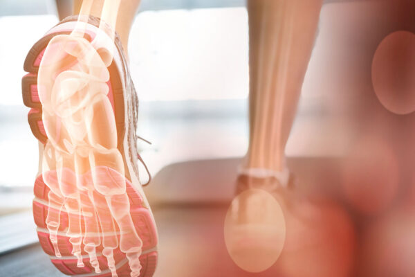 Foot Muscles