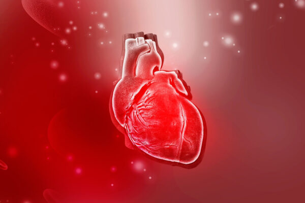 Angiogram Procedure Video