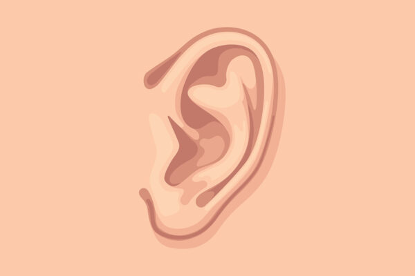 Ear Clipart