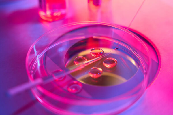 Egg Freezing Process