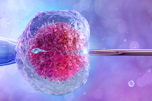 Ivf Treatment Video