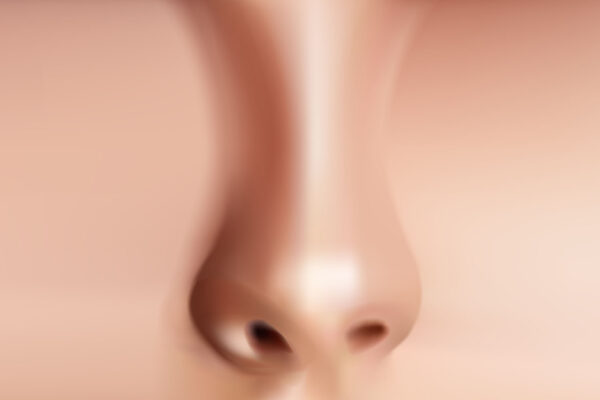Nasal Septum Anatomy