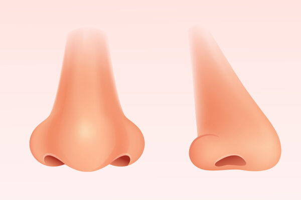 Nose Clipart