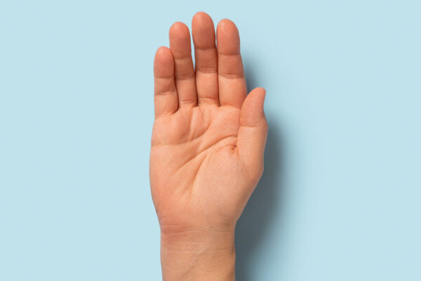 Palm Body Part