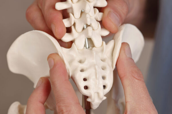 Spinal Cord Originates From
