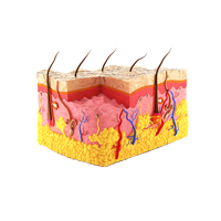 dermatology